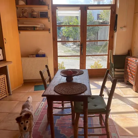 Avli-the Courtyard 4* Nicósia