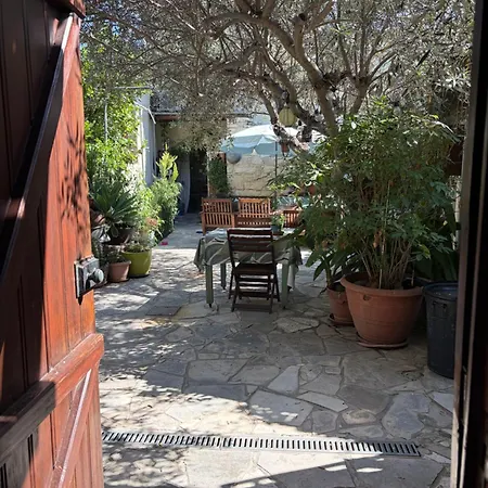 Avli-the Courtyard