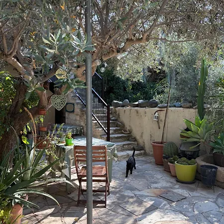 Avli-the Courtyard 4*