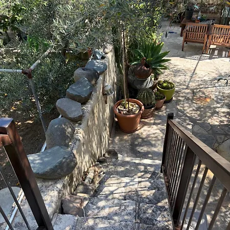Avli-the Courtyard Λευκωσία