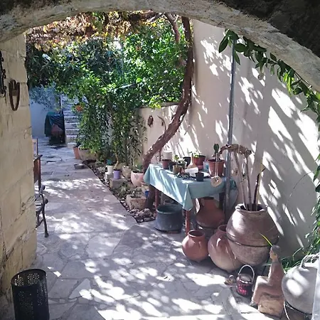 Avli-the Courtyard