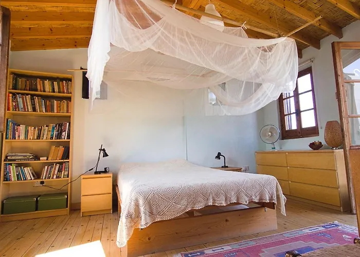 Avli-the Courtyard ニコシア